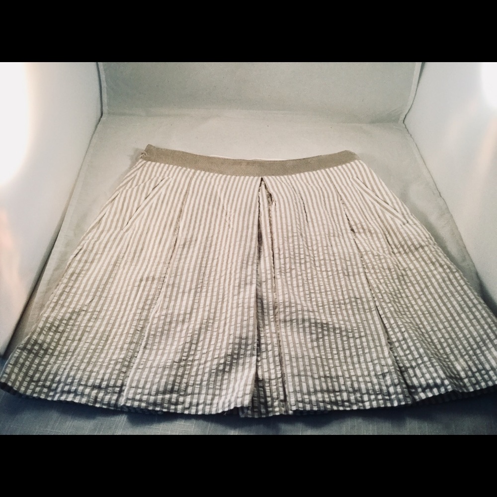 Banana Republic Skirt